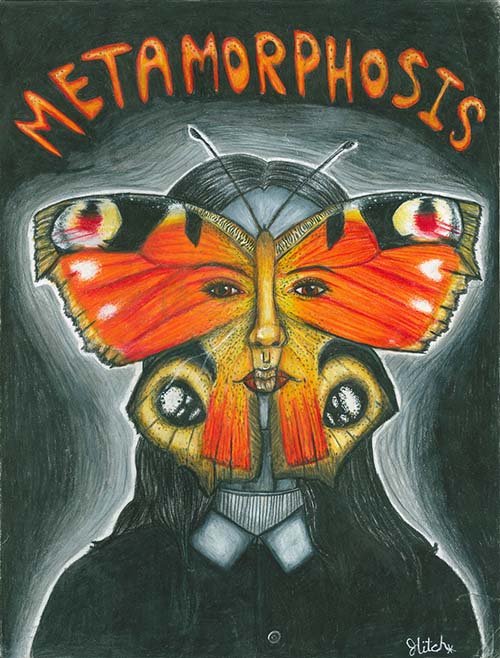 Metamorphosis